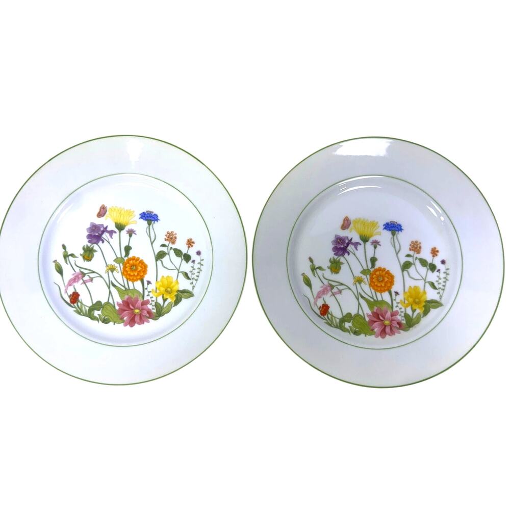 Denby-Langley Retired 1976-1981 'Wonderland' 8" Salad Plates-Portugal-Set of 2